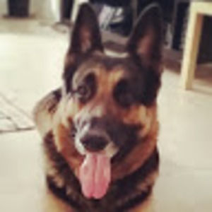 Meet your Posher, Big joe